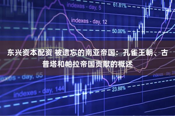 东兴资本配资 被遗忘的南亚帝国：孔雀王朝、古普塔和帕拉帝国贡献的概述