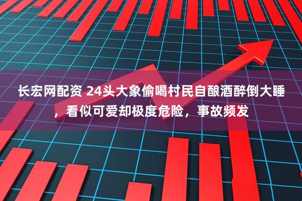 长宏网配资 24头大象偷喝村民自酿酒醉倒大睡，看似可爱却极度危险，事故频发