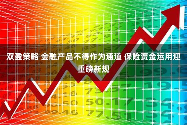 双盈策略 金融产品不得作为通道 保险资金运用迎重磅新规
