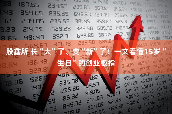 股鑫所 长“大”了、变“新”了！一文看懂15岁“生日”的创业板指