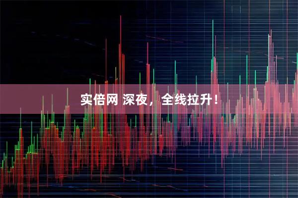 实倍网 深夜，全线拉升！
