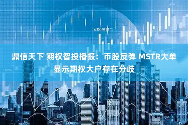 鼎信天下 期权智投播报：币股反弹 MSTR大单显示期权大户存在分歧